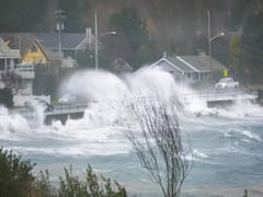 US: 250 किमी की रफ्तार से आए तूफान ने लुसियाना में मचाई तबाही, 164 साल बाद आया ऐसा भयंकर तूफान