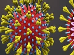 Karnataka: मिलिए 110 साल की महिला से जिन्होंने कोरोना को दी मात