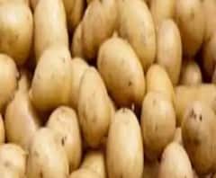 লাগামছাড়া আলুর দাম, ৭ দিনের মধ্যে না কমলে কড়া পদক্ষেপের পথে রাজ্য