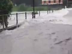 અમરેલીના બગસરાની સાતલડી નદીમાં આવ્યા ઘોડાપૂર, જુઓ વીડિયો