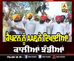 AAP ਨੇ ਚੁੱਕੇ ਕੈਪਟਨ ਖਿਲਾਫ ਕਾਲੇ ਝੰਡੇ