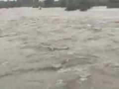 રાજકોટઃ ગોંડલ પંથકમાં ધોધમાર વરસાદ, છાપરવાડી ડેમ ફરી થયો ઓવરફ્લો