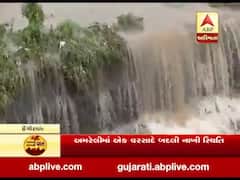 અમરેલીઃ ભારે વરસાદે ઈંગોરાળા ગામના ખેડૂતોના ઉભા પાકને બરબાદ કર્યો