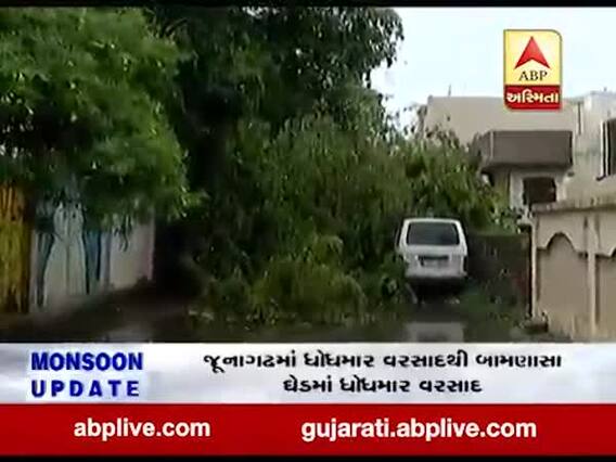 રાજકોટ શહેરની માસ્તર સોસાયટીમાં વૃક્ષ ધરાશાયી, રસ્તો બ્લોક થતાં સ્થાનિકો પરેશાન, જુઓ વીડિયો