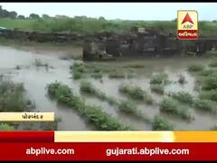 પોરબંદરમાં સતત પડી રહેલા વરસાદથી બરડા પંથકમાં મગફળીને નુકશાન, જુઓ વીડિયો