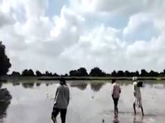 પાટણઃ નર્મદાની કેનાલ ઓવરફ્લો થતાં એરંડા અને કપાસના પાકને નુકસાન, જુઓ વીડિયો 