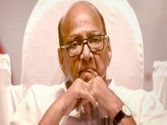 Sushant Case: Sharad Pawar का बयान-'SC के फैसले का सम्मान करते हैं'