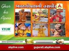 વીડિયોમાં જુઓ તમારા બાળગોપાલની તસવીર 