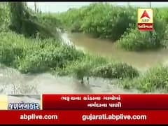 અંકલેશ્વર તાલુકાના બોરભાઠા ગામમાં ઘૂસ્યા નર્મદા નદીના પાણી, જુઓ વીડિયો 