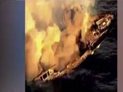 Watch top viral news of the day