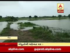 ખેડાના માતરના ખેરેટી અને બરોડા ગામના ખેડૂતોની મહેનત પર ફરી વળ્યું પાણી