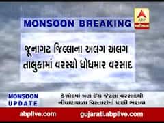 જૂનાગઢ: ભેસાણના સણાક અને ગુજરીયા કોઝવે પરથી યુવક તણાયો, જુઓ વીડિયો