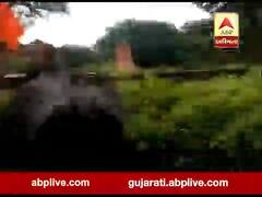 ગીર: ભેસને જોઈ આરામ ફરમાવતો ડાલામથ્થા સિંહ ભાગ્યો, વીડિયો વાયરલ