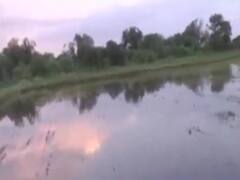  મહેસાણામાં વરસાદે ખેડૂતોને કર્યા બરબાદ, ખેતરોમાંથી હજુ પાણી ન ઓસરતા પાક નિષ્ફળ