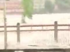  છેલ્લા 24 કલાકમાં રાજ્યના આ તાલુકાઓમાં 5 થી12 ઇંચ સુધી વરસાદ ખાબક્યો