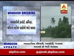 ધોધમાર વરસાદથી નવસારીમાં વેગણિયા નદીનો પુલ પાણીમાં ગરકાવ, જુઓ વીડિયો 