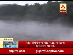 ગીર સોમનાથના ગીર ગઢડામાં આવેલ સીંગોડા ડેમમાં પાણીની આવક વધી, એક દરવાજો ખોલાયો, જુઓ વીડિયો 