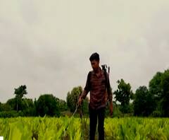 Farmers Marriage Story | कोरोनाच्या काळात शेतकरी पोरालाच मुलींची पसंती! वावर हाय तर पावर हाय!