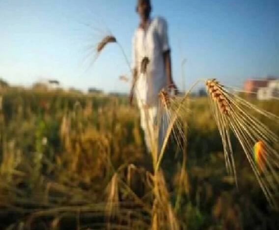 BIG BREAKING | शेतकऱ्यांची बंधनातून मुक्ती! शेतकरी देशात कुठेही स्वत: विकू शकणार शेतमाल