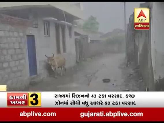 ભાવનગરના તળાજા પંથકમાં વરસ્યો ધોધમાર વરસાદ, જુઓ વીડિયો