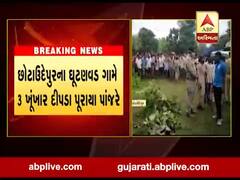 છોટાઉદેપુરના ઘૂટણવડ ગામે ત્રણ ખૂંખાર દીપડા પૂરાયા પાંજરે, જુઓ વીડિયો