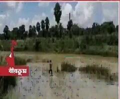 মিউজিক ভিডিও শ্যুট করতে গিয়ে বোলপুরের কোপাই নদীতে তলিয়ে গেল যুবক