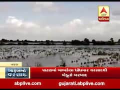 પાટણઃ શંખેશ્વર તાલુકાના ગામોમાં ખેતરોમાં પાણી ભરાયેલા હોવાથી પાક નષ્ટ, જુઓ વીડિયો