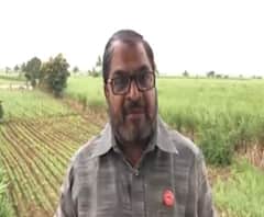 Raju Shetti | दूध दरासाठी राजू शेट्टी पुन्हा आक्रमक; सोलापुरात 17 ऑगस्टला जनावरांसहं मोर्चा काढणार