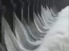 રાજ્યના 136 જળાશયો હાઈએલર્ટ પર, 16 ડેમો એલર્ટ પર, જુઓ વીડિયો