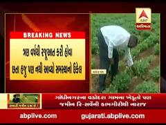 ગાંધીનગરના વડોદરા ગામના ખેડૂતો પણ જમીન રિ-સર્વેની કામગીરીથી નારાજ, જુઓ વીડિયો