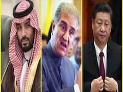 અસ્મિતા વિશેષ: ભીખ માંગશે પાકિસ્તાન 