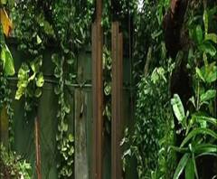 আলিপুর চিড়িয়াখানায় হোর্ডিং লাগানোর সময় বিদ্যুৎস্পৃষ্ট হয়ে মৃত ২ বিজ্ঞাপন সংস্থার কর্মী