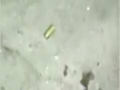 Delhi में बीती रात बस्ती में 15 बदमाशों ने की ताबड़तोड़ Firing 