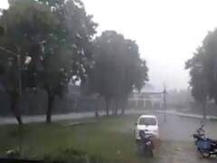 ગીર સોમનાથના તાલાલામાં ચાર ઈંચ વરસાદથી જળબંબાકાર, જુઓ વીડિયો 