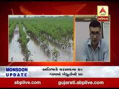 અનરાધાર વરસાદના કારણે અમરેલીના ઈંગોરાળા ગામના પાક ધોવાયો, જુઓ વીડિયો