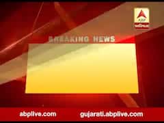 સિંહના બે અલગ અલગ વીડિયો સોશિયલ મીડિયા પર વાયરલ, જુઓ વીડિયો 