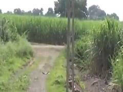 સુરતના કામરેજ તાલુકાના દિગસ ગામમાં જમીન માપણીમાં ક્ષતિઓને લઇ ખેડૂતો હેરાન