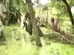 दरभंगा में दूषित पानी पीने को मजबूर हैं लोग