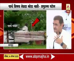 Praful Patel | पार्थ पवार यांचा विषय तेवढा मोठा नाही : प्रफुल्ल पटेल