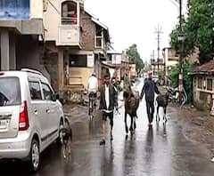 Kolhapur Rain | पंचगंगेची वाटचाल धोक्याच्या पातळीकडे; कोल्हापुरात 4 एनडीआरएफची पथकं तैनात