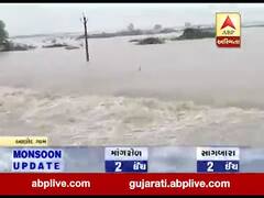 ભરૂચઃ આમોદ તાલુકામાં નીચાણવાળા વિસ્તારોમાં ભરાયા પાણી, જુઓ વીડિયો 
