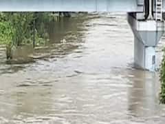 ભરૂચમાં ધોધમાર વરસાદને પગલે નદી-નાળા છલકાયા, જુઓ વીડિયો