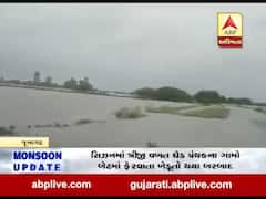 ધોધમાર વરસાદથી જૂનાગઢના માંગરોળ ઘેડ પંથકના ગામો બેટમાં ફેરવાયા, જુઓ વીડિયો