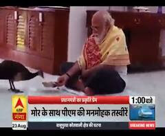 देखिये, प्रधानमंत्री नरेंद्र मोदी का प्रकृति प्रेम। Narendra Modi