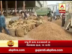 સૌરાષ્ટ્રમાં સિંગદાણાના 304 કરોડના બોગસ બિલિંગ કૌભાંડનો પર્દાફાશ, જુઓ વીડિયો 