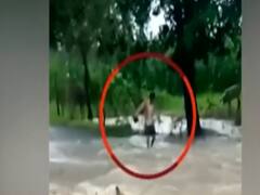 Watch top viral news of the day