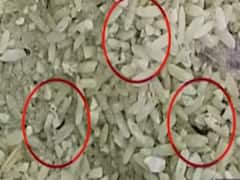 नहीं थम रहे MP में घटिया अनाज के मामले, अब बच्चों को मध्यान्ह भोजन में सड़ा अनाज देने का आरोप