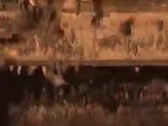 અરવલ્લી: મોડાસાના પહાડપુર ગામના લોકો ચામાચીડિયાના ત્રાસથી પરેશાન, જુઓ વીડિયો