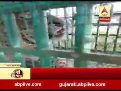 ગીર સોમનાથ: આમોદરા ગામમાં દીપડો પાંજરે પુરાયો, જુઓ વીડિયો