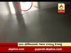 વડોદરાની SSG હોસ્પિટલની બેદરકારીનો વાયરલ વીડિયો આવ્યો સામે